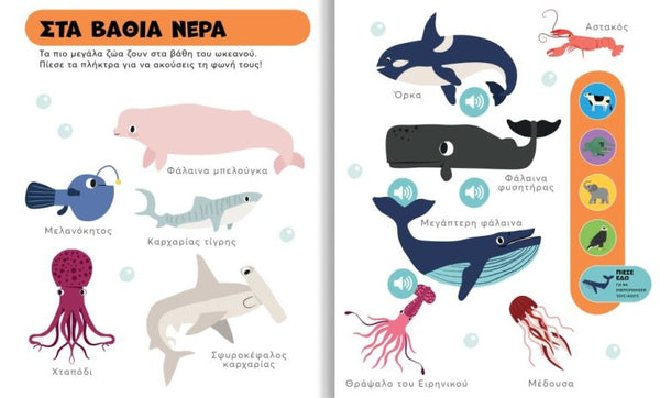 An educational children's book spread in Greek about sea life, featuring colorful cartoon illustrations of whales, a shark, a octopus, a shrimp, and other sea creatures with labels on a white background.
